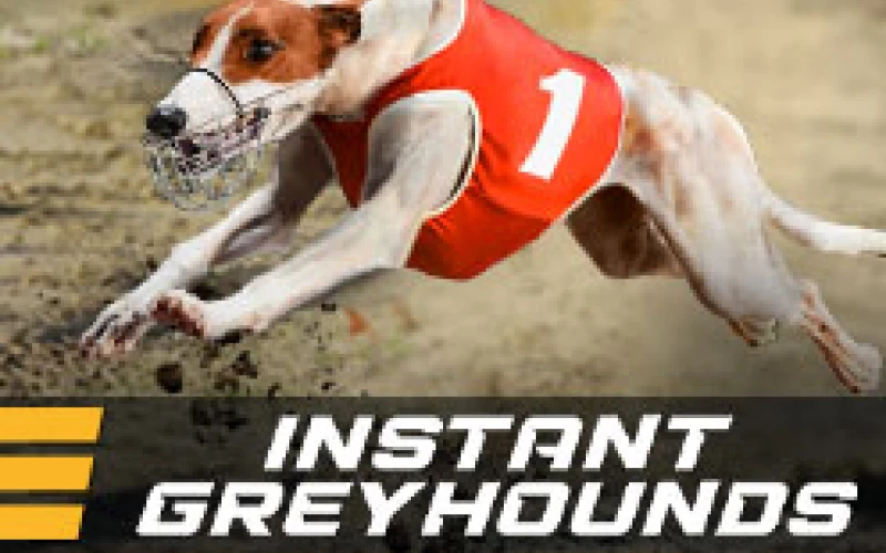 Play Instant Greyhounds on the BetAndreas website.